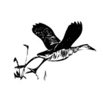 Král železniční ptáka v letu osnovy vektorové ilustrace